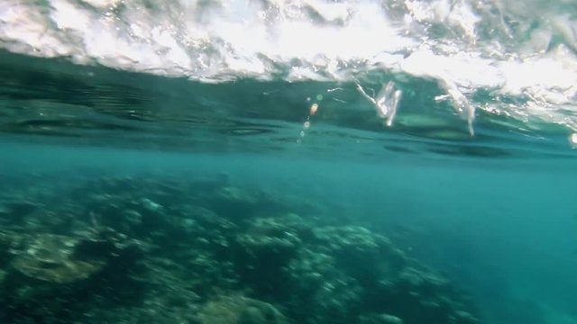beim schnorcheln auf dem Wasser schauen und die Insel mit den H&uuml;tten sehen
