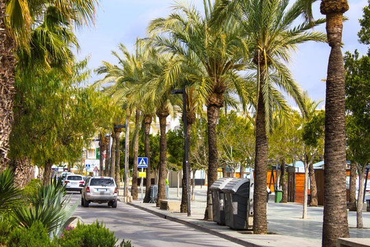 Promenade along the beach and sea with palm trees and cars