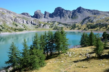 Mélèzes et lac d'Allos août 2015