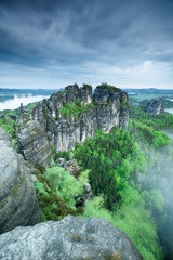 Fresh nature near Schrammsteine