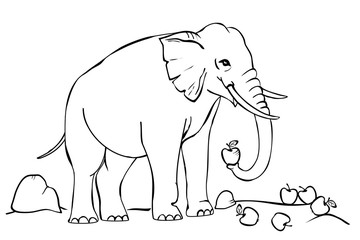 Obraz premium Elefant (Malvorlage)