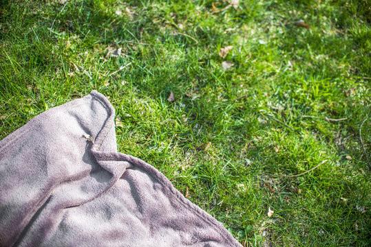 Blue Picnic Blanket On The Grass Field