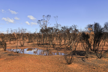 WA burnt outback puddle