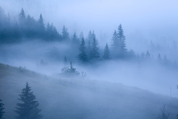 Morning mist in mountain.