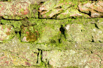 Old stones of a wall.