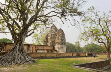 Gardeners clean the area around the ancient trees and temple in Thailand.