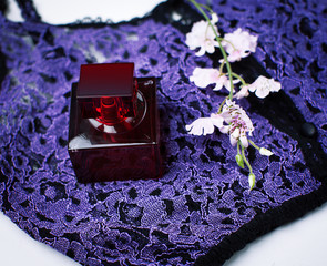 Women's perfume and clothes