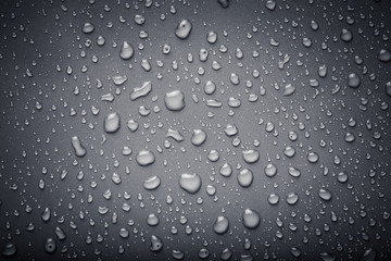 Dops of water on a color background. Gray. Toned