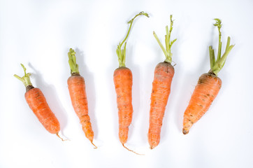 fresh carrots isolated on white background