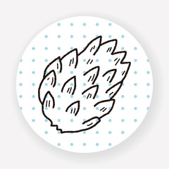 Custard apple doodle