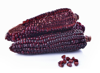 Purple corn on white background