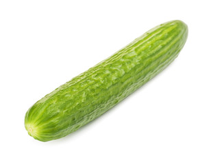 Long Fresh Cucumber 