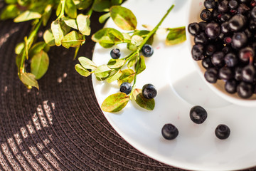 White cup with blueberry and branch green on the table