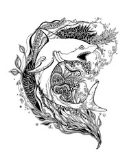 Adult Coloring Page with Shark. Shark vector. Shark isolated. Shark tattoo. Shark vintage. Shark book illustration. Vector illustration.