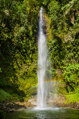 Beautiful waterfall with lagun at bottom and spectacular green vegetation around clear blue water in amazon jungle Ecuador