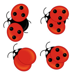 Cartoon ladybug - isolated - illustration for the children