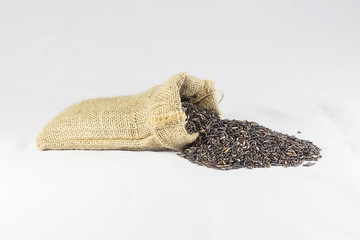 Rice Berry