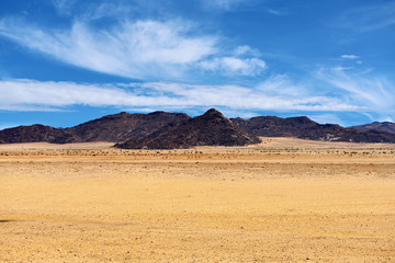 Fototapeta na wymiar Namib desert landscape, Namibia