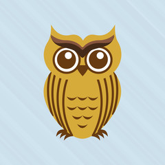 owl bird design 