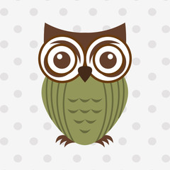 owl bird design 