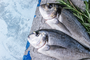 Raw bream fish with herbs