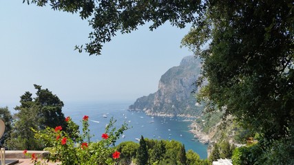 Isola di capri
