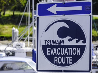 Tsunami Evacuation Route Sign - 107352186