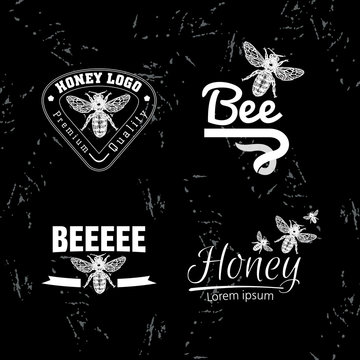 Vector white logo set with bee.