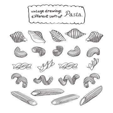 Different sorts of pasta sketch is great design element for italian restaurants and pasta restaurants. 