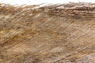 bark the petiole dry bract or old leaf coconut