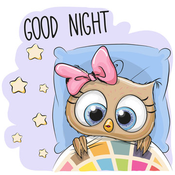 Cute Cartoon Sleeping Owl