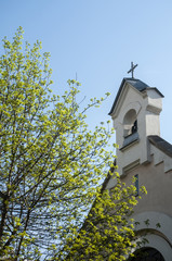 Catholic Church top and blossomed tree on blue sky background