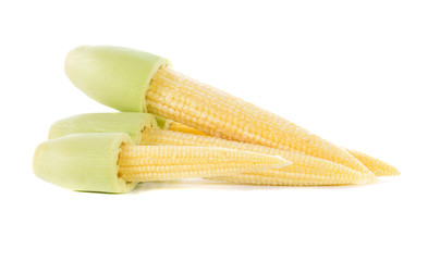 Young corn on white background