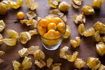 Cape gooseberry