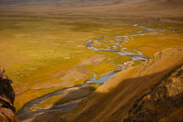 meadow with a mountain stream at sunset