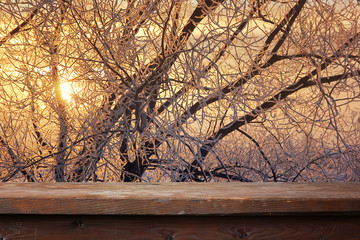 Empty wooden table on a background of a winter tree in frost