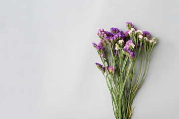 Statice flowers on grey paper background