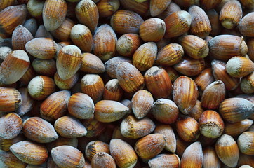 Hazelnuts