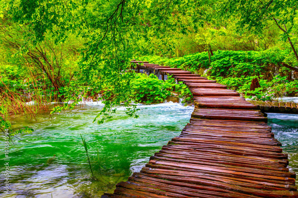 Wall mural wooden path in national park in plitvice