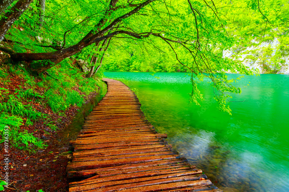 Wall mural wooden path in national park in plitvice