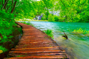 Naklejka premium Wooden path in National Park in Plitvice