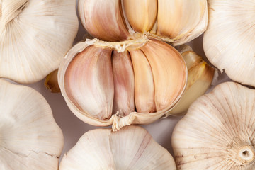 garlic