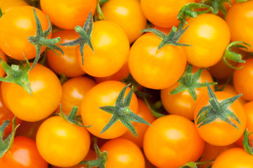 yellow cherry tomato background