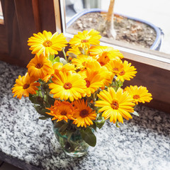 Yellow gerberas in a vase
