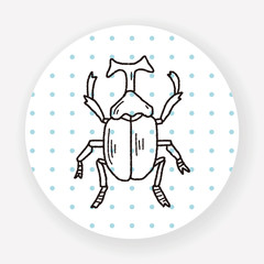 beetle doodle