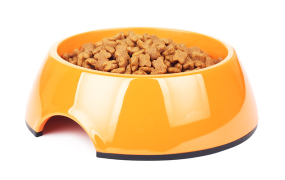 Dry Cat Food In Orange Bowl