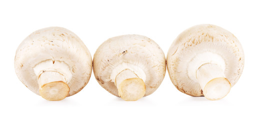 Fresh Champignon Mushrooms