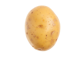Single fresh potato. Isolated on white background. Close-up stud