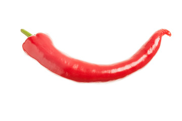 Single a red hot fresh peper. Isolated on white background. Clos
