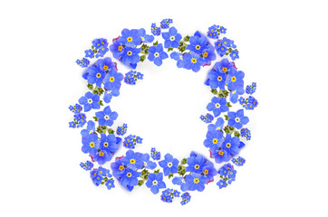 Zarte Vergissmeinnicht Blüten im Kranz Dekoration auf weißem Hintergrund